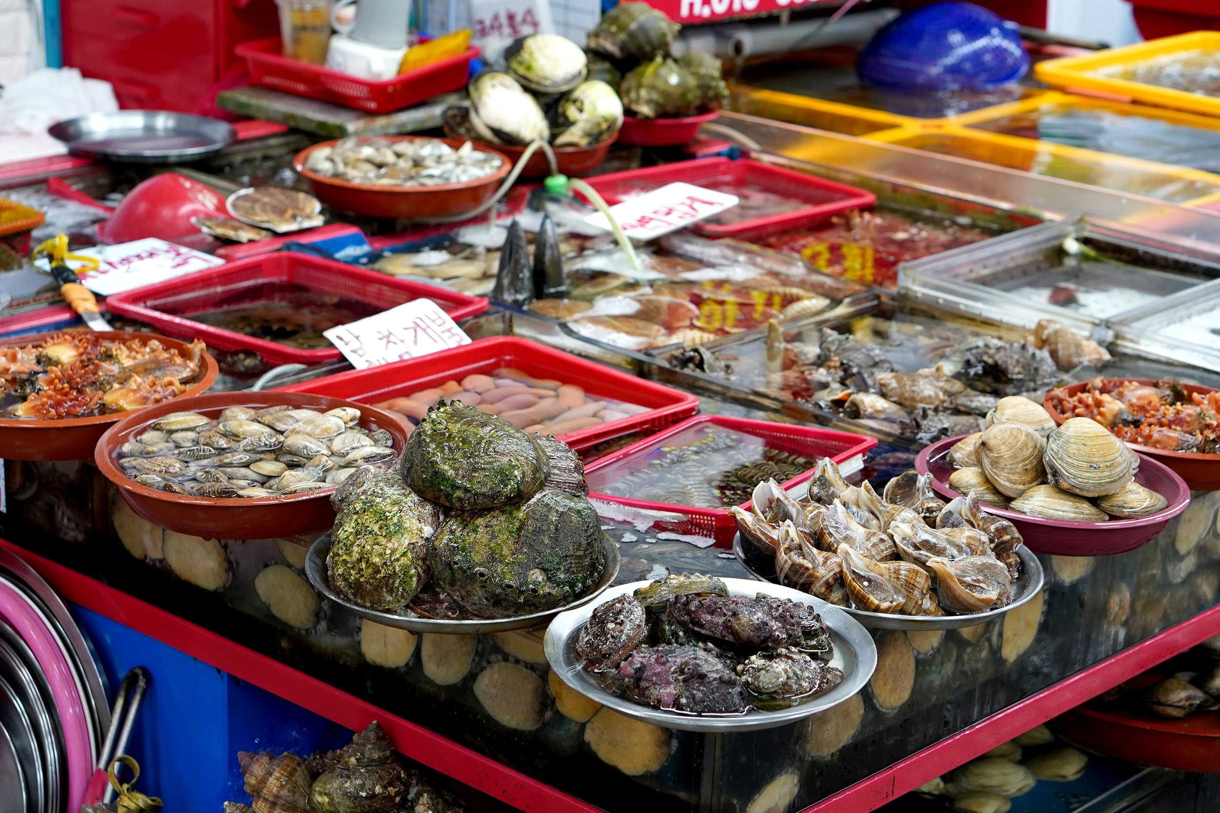 Jalgalchi Fish Market 자갈치시장