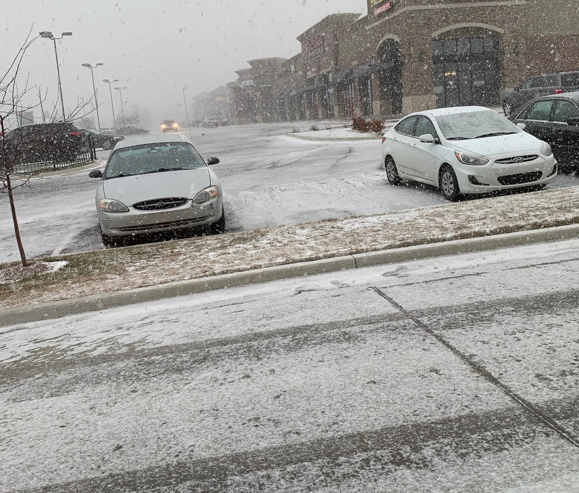 Picture I snapped of the fast-falling snow before the incident.