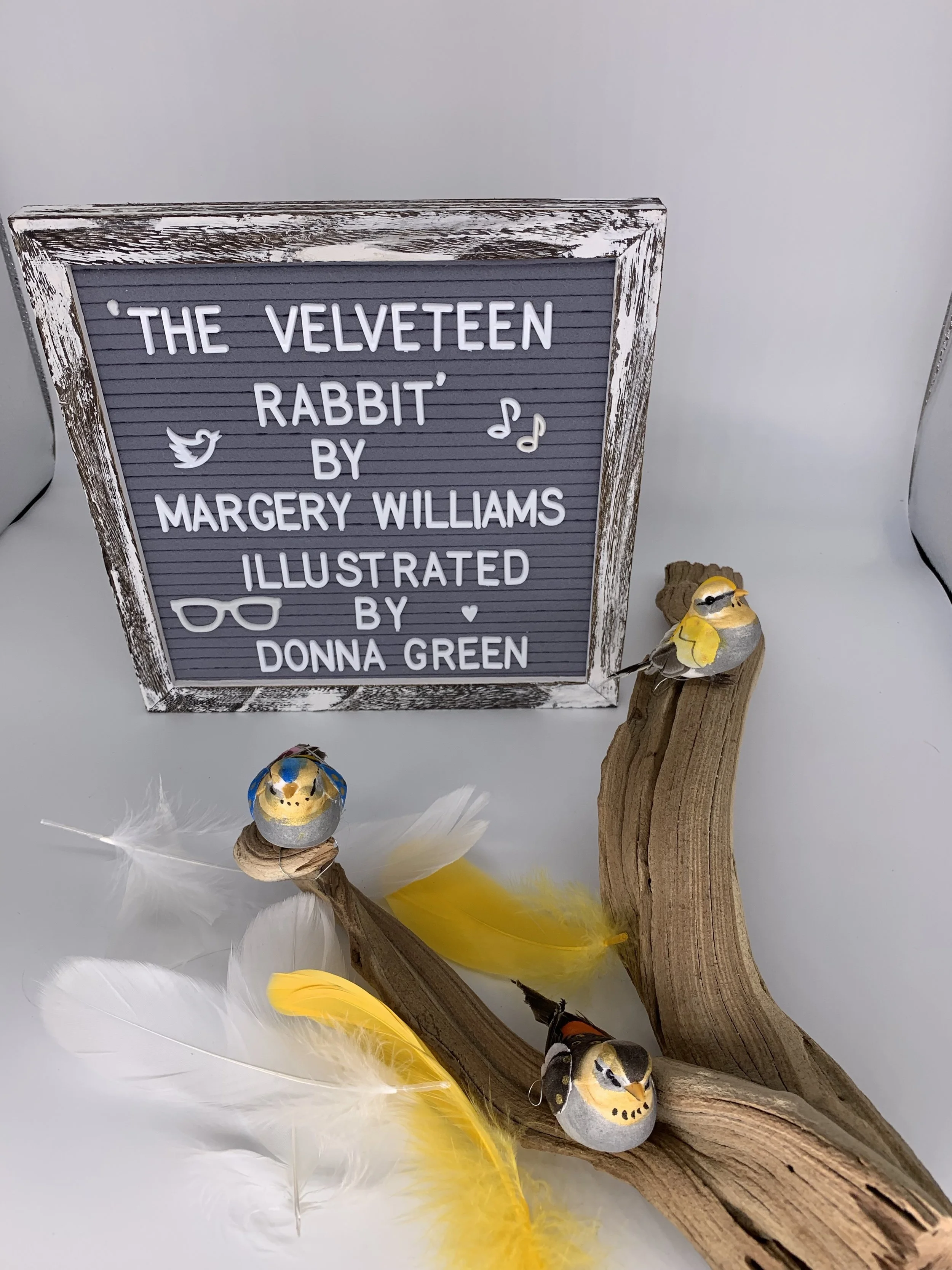 The Velveteen Rabbit by Margery Williams - Illustrations by Donna Green