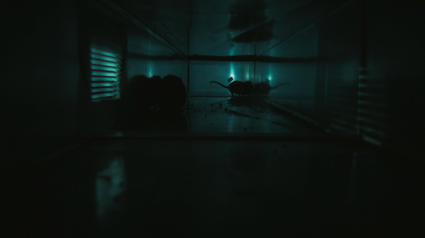 Screen Shot 2019-02-05 at 1.22.23 PM.png