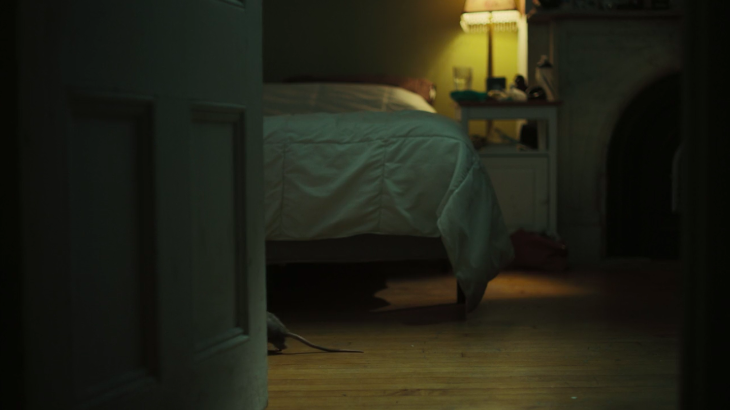 Screen Shot 2019-02-05 at 1.20.13 PM.png