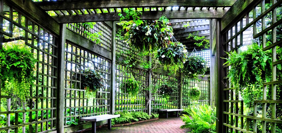 Garden Shop Trellises Jacksons Home Garden