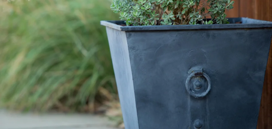 planter.jpg