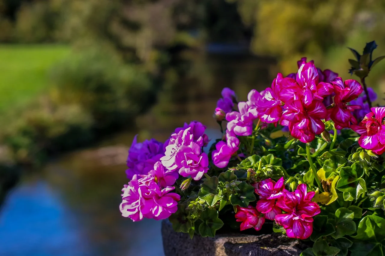 planter tips best garden store dallas texas jacksons home garden.jpg