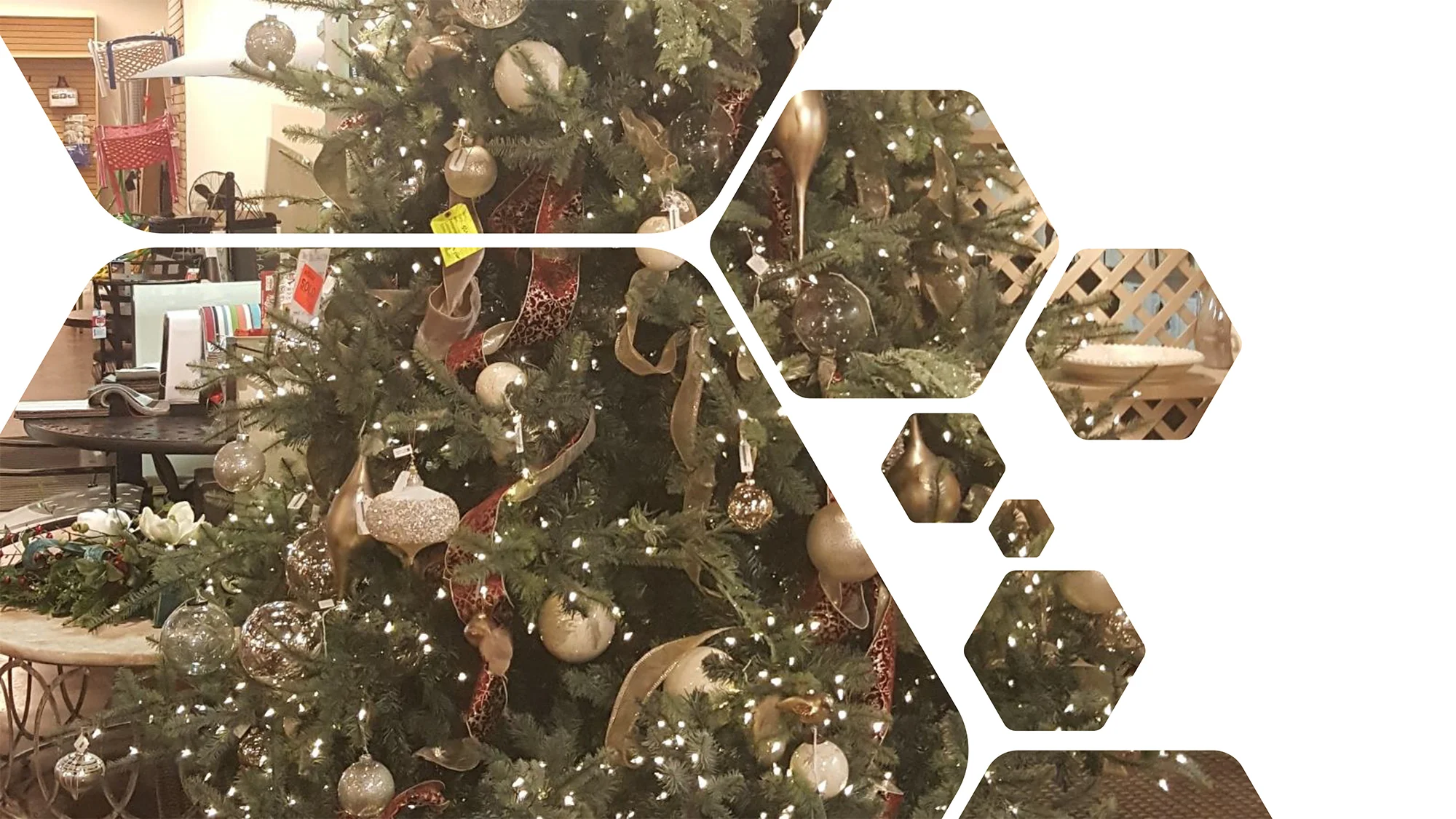 Christmas-2019-4.jpg
