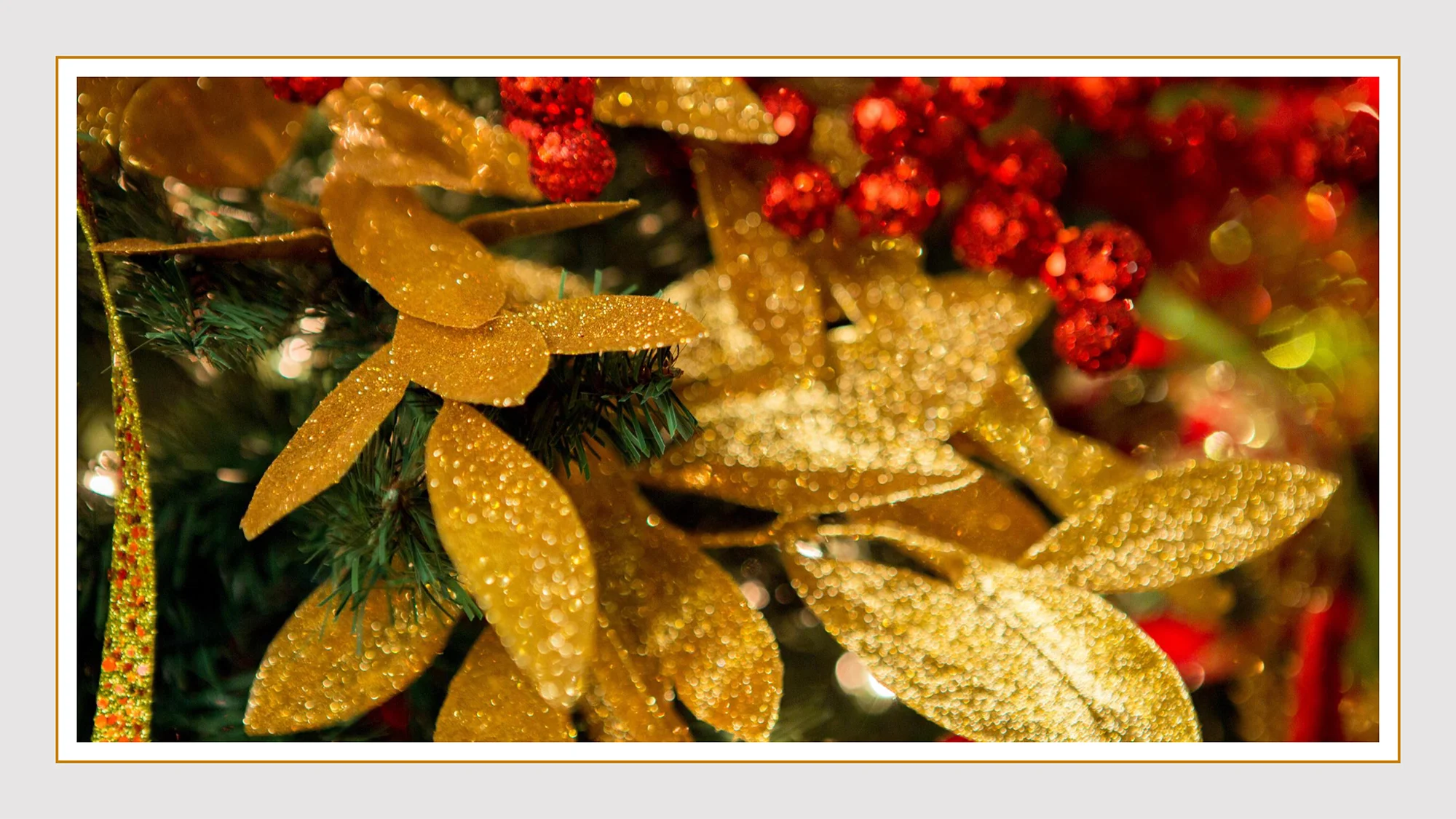 Christmas-2019-7.jpg