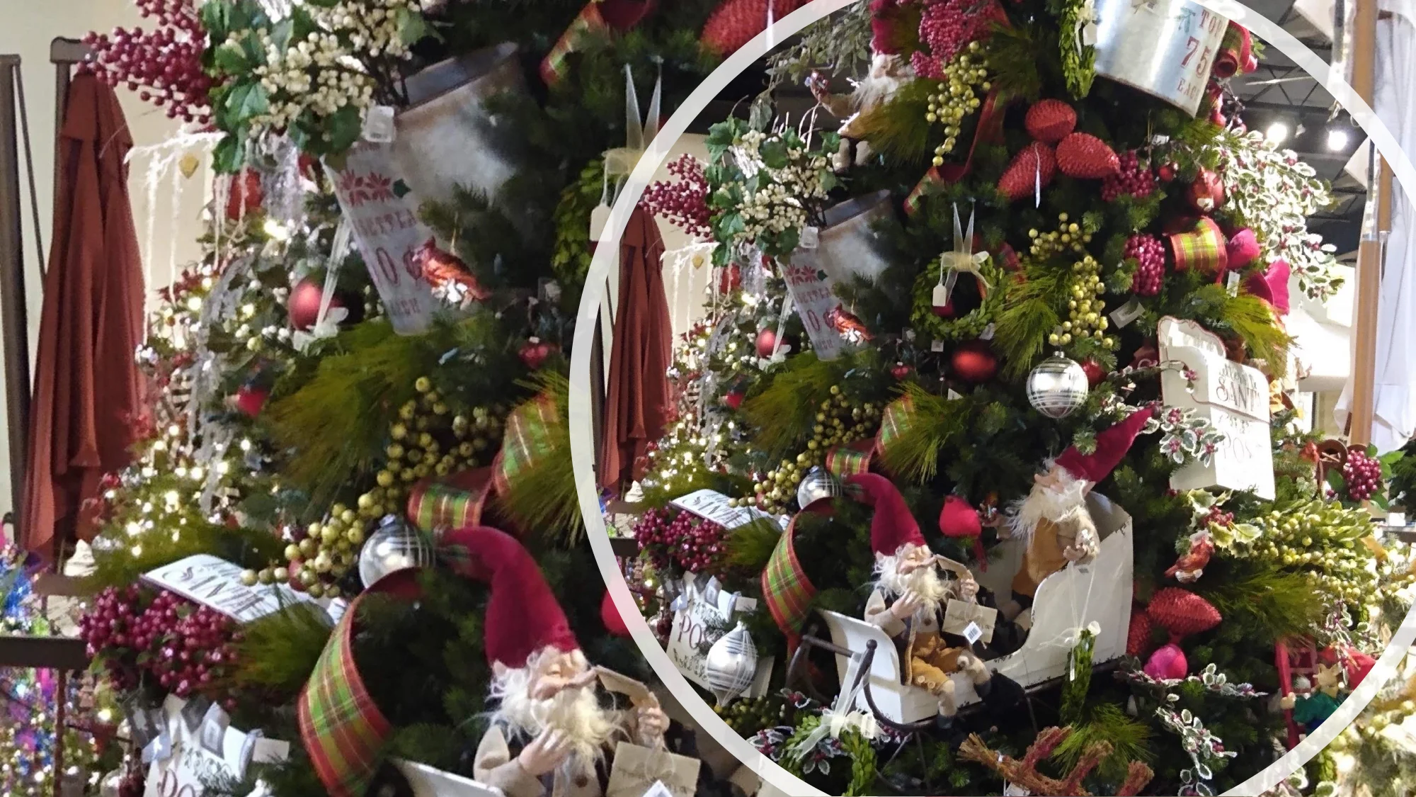 Christmas-2019-16.jpg