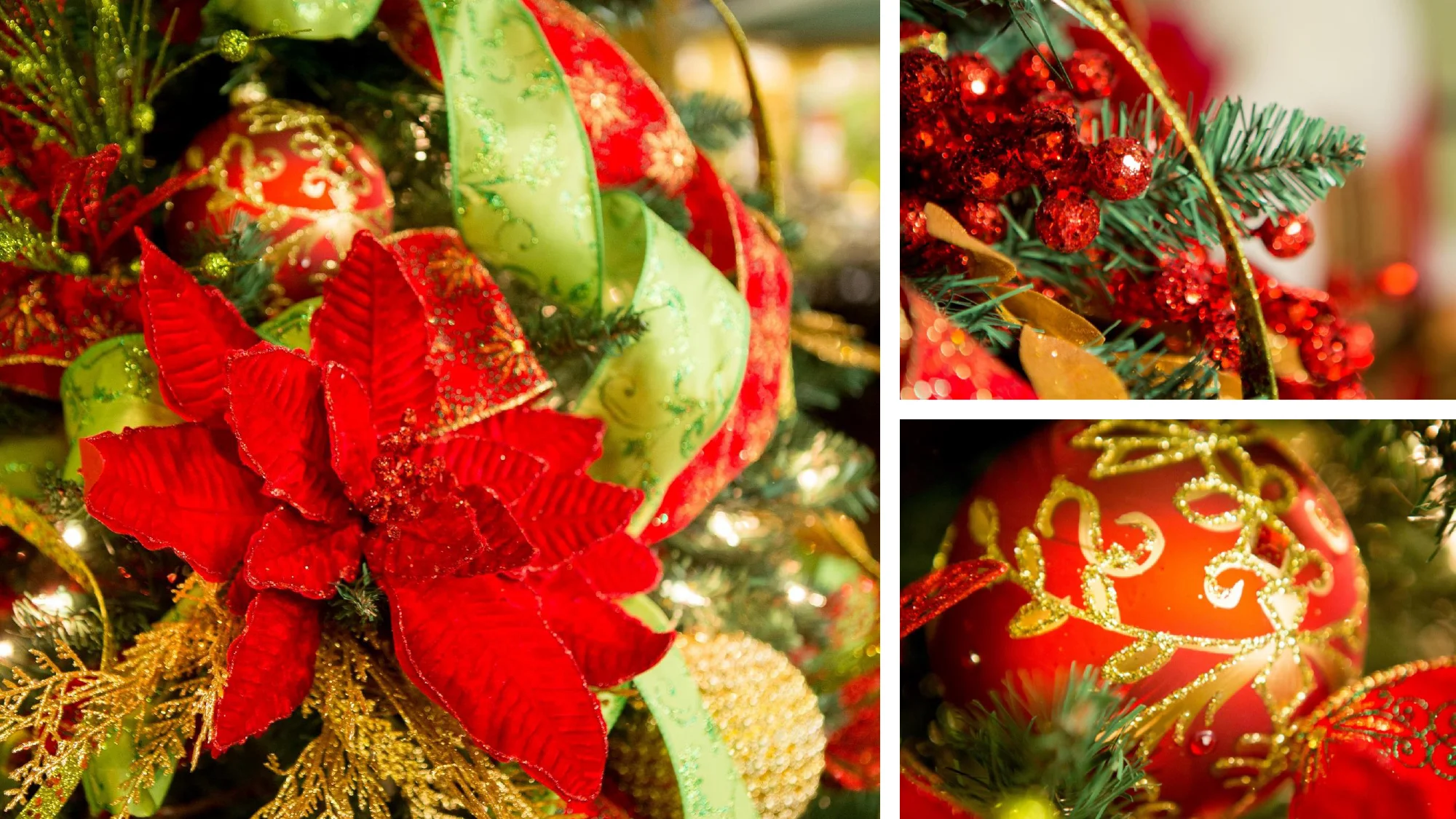 Christmas-2019-23.jpg
