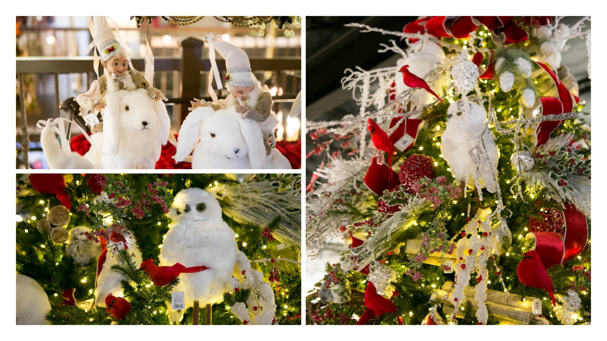 Christmas-2019-24.jpg