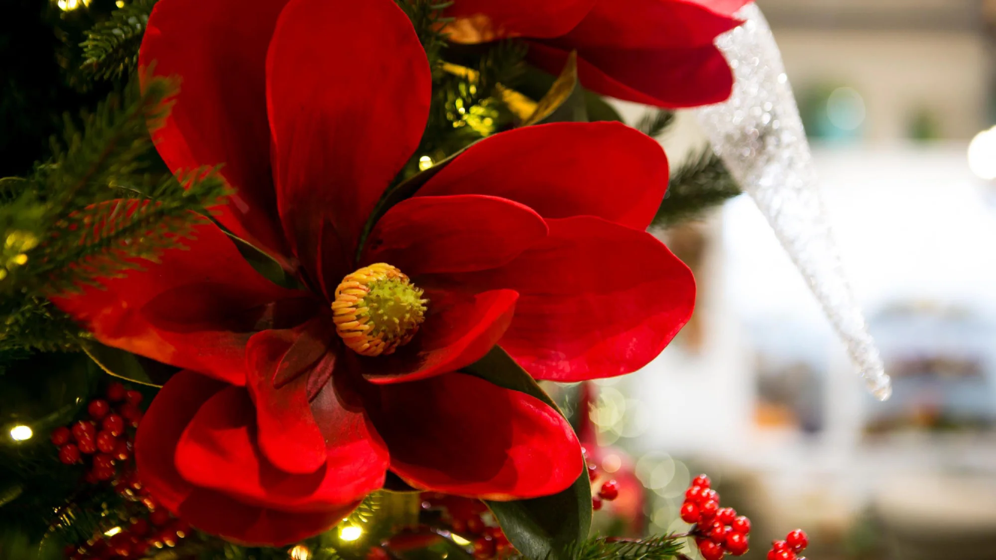 Christmas-2019-27.jpg