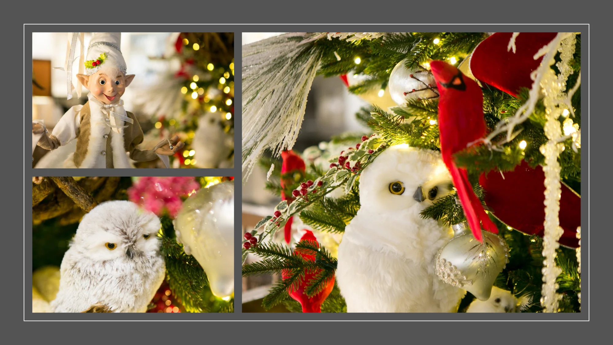 Christmas-2019-35.jpg