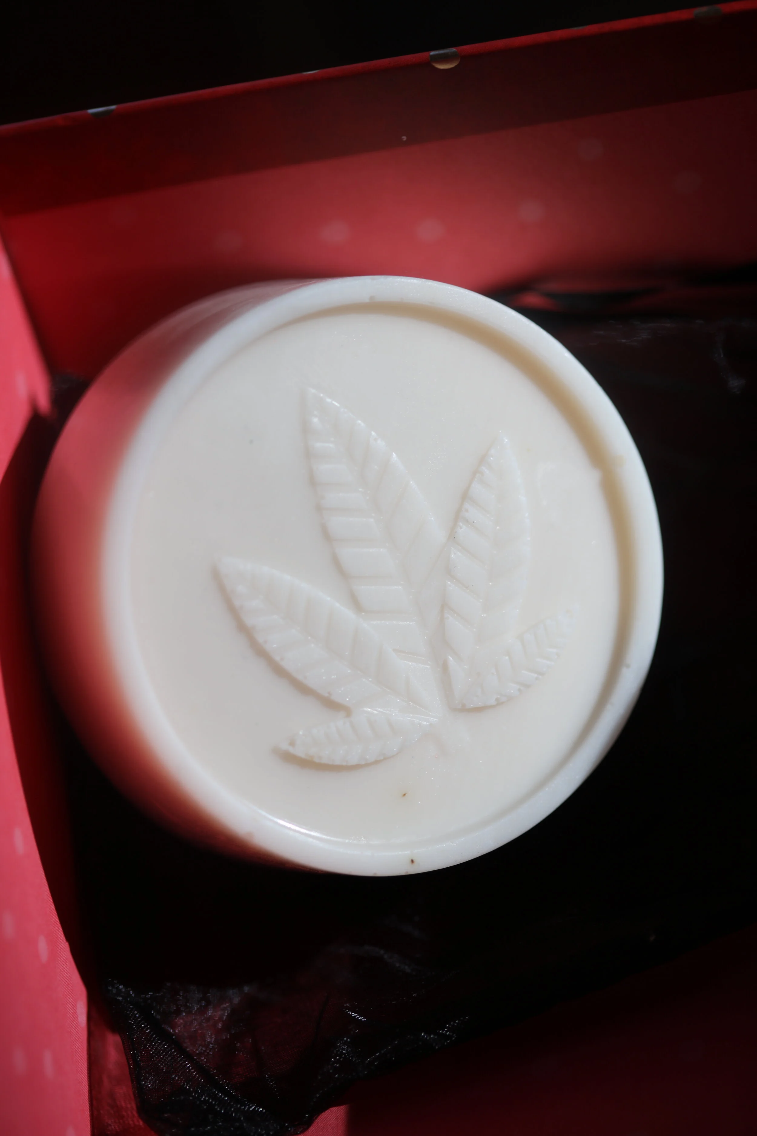 soap mold CBD 1.JPG