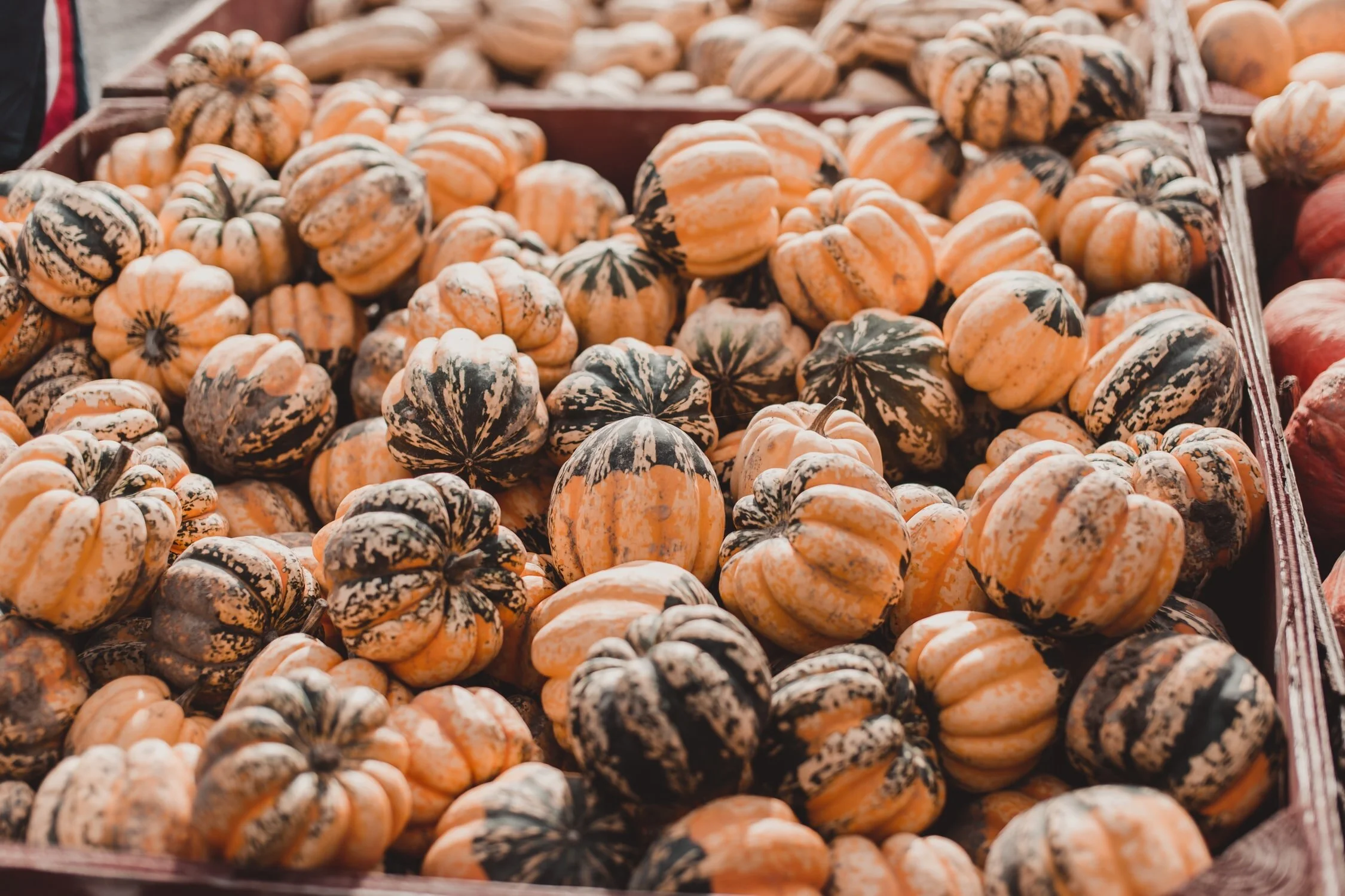Curry-Roasted Acorn Squash