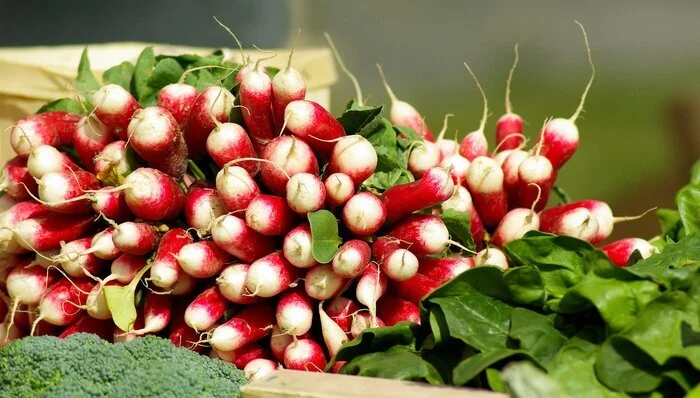 Roasted Spring Radishes & Potatoes with Lemon Dill Dressing