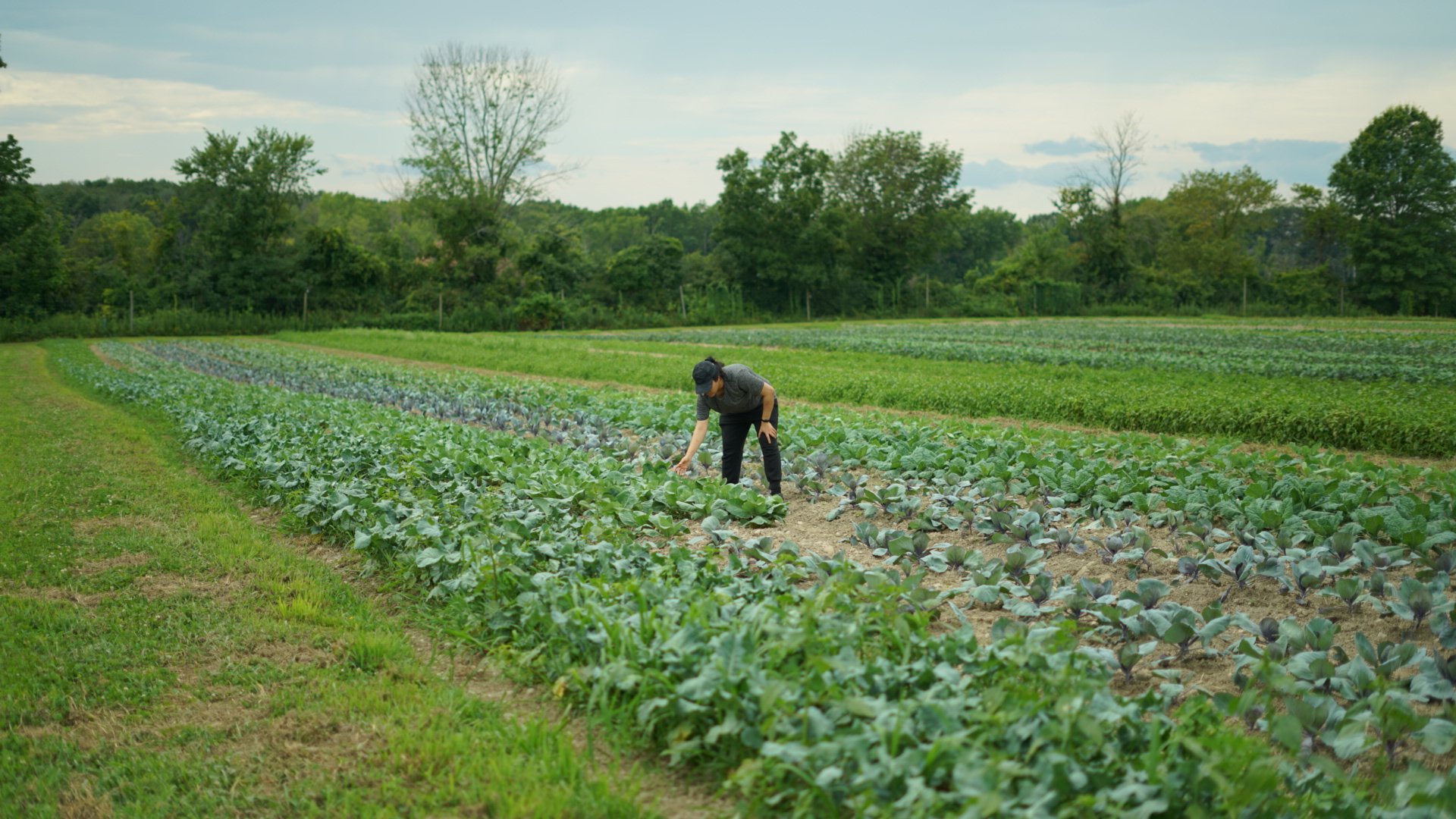 Embrace Sustainability