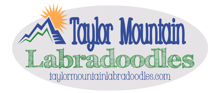 Taylor Mountain Labradoodles