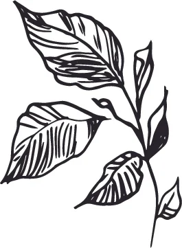 flower wip 2.jpg