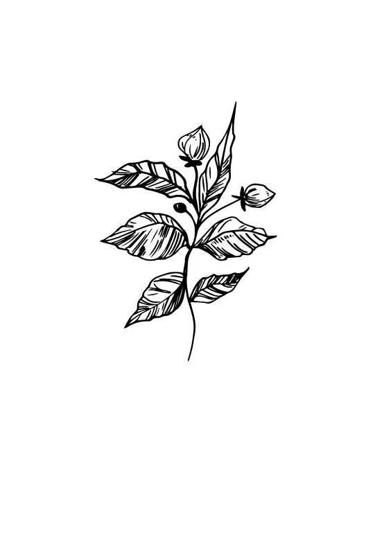 flower1-wip.jpg