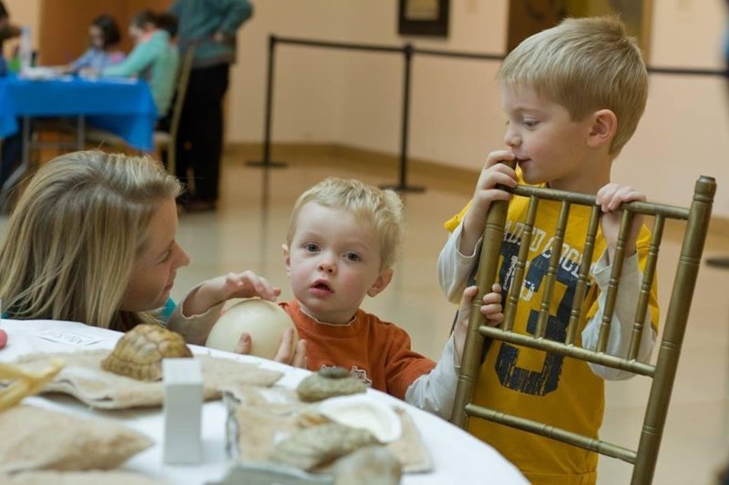 Nature explorations at the Wadsworth Atheneum