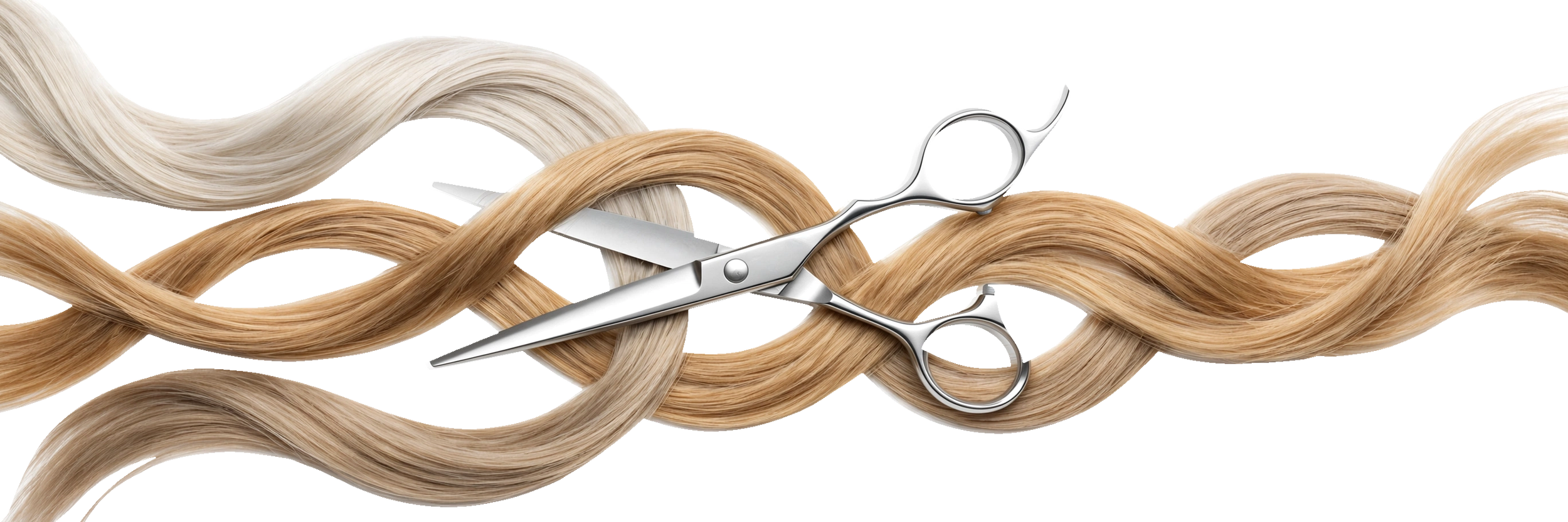 hair_banner_final.PNG