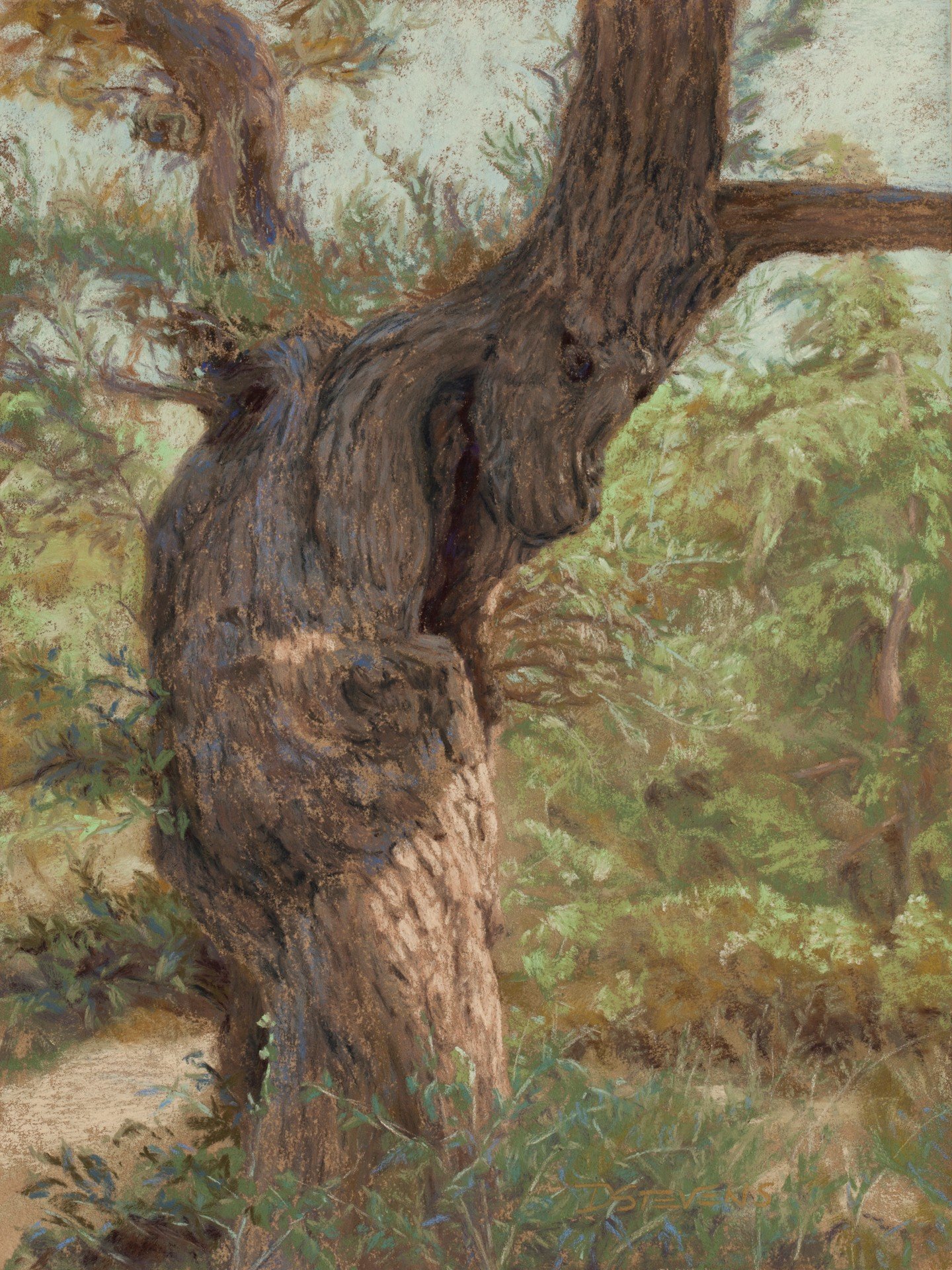 Backward Glance.jpg