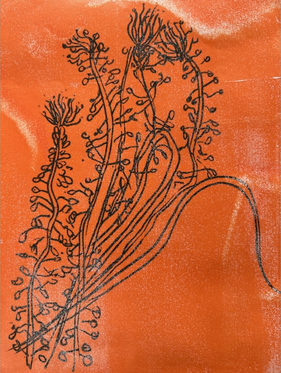 Drawing with Gelli Plates (Grades 5th-8th) with Keri Domer