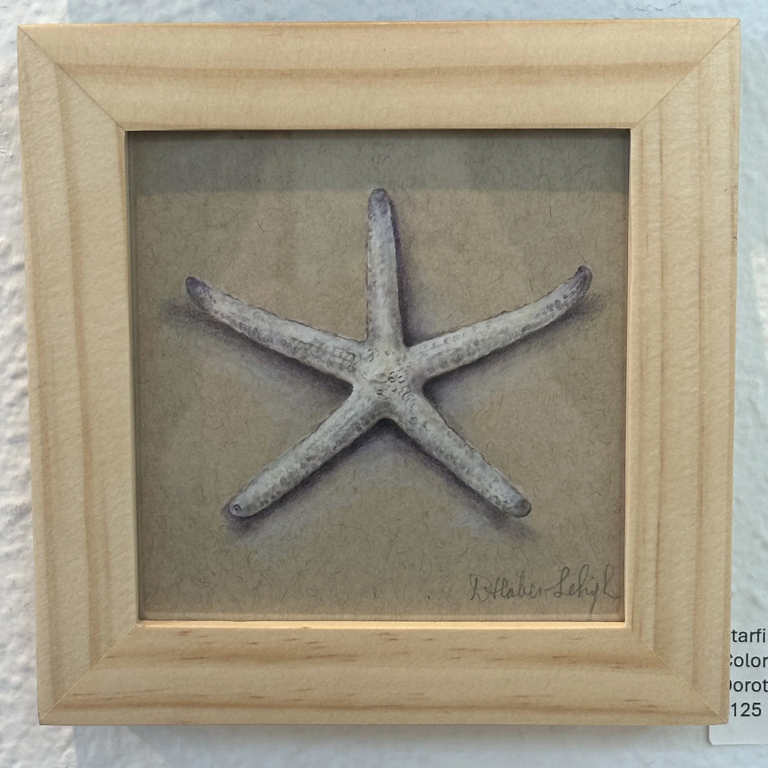 Dorota Haber - Lehigh - Starfish - Color Pencil - $125
