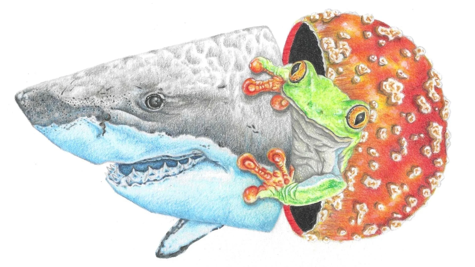 Untitled design-27.jpg