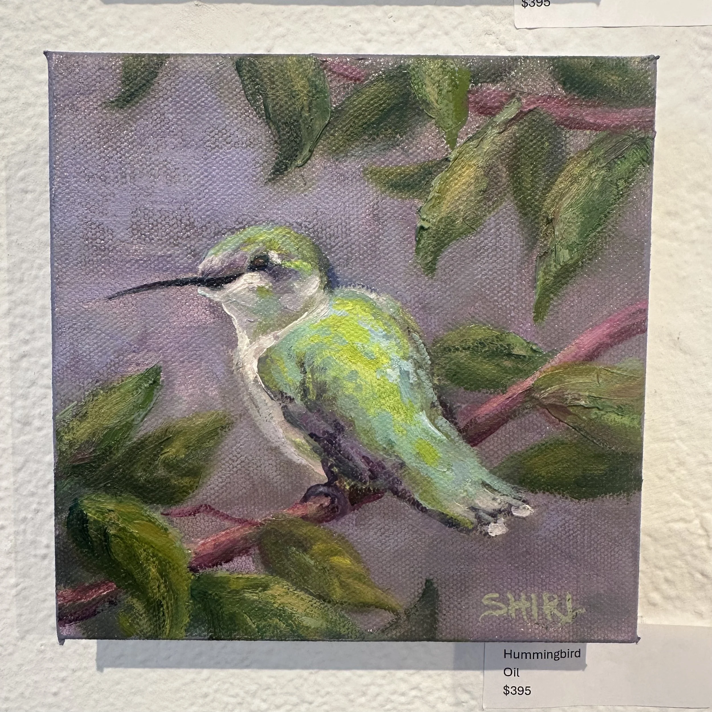 Shirl Ireland - Humming Bird - Oil - $396