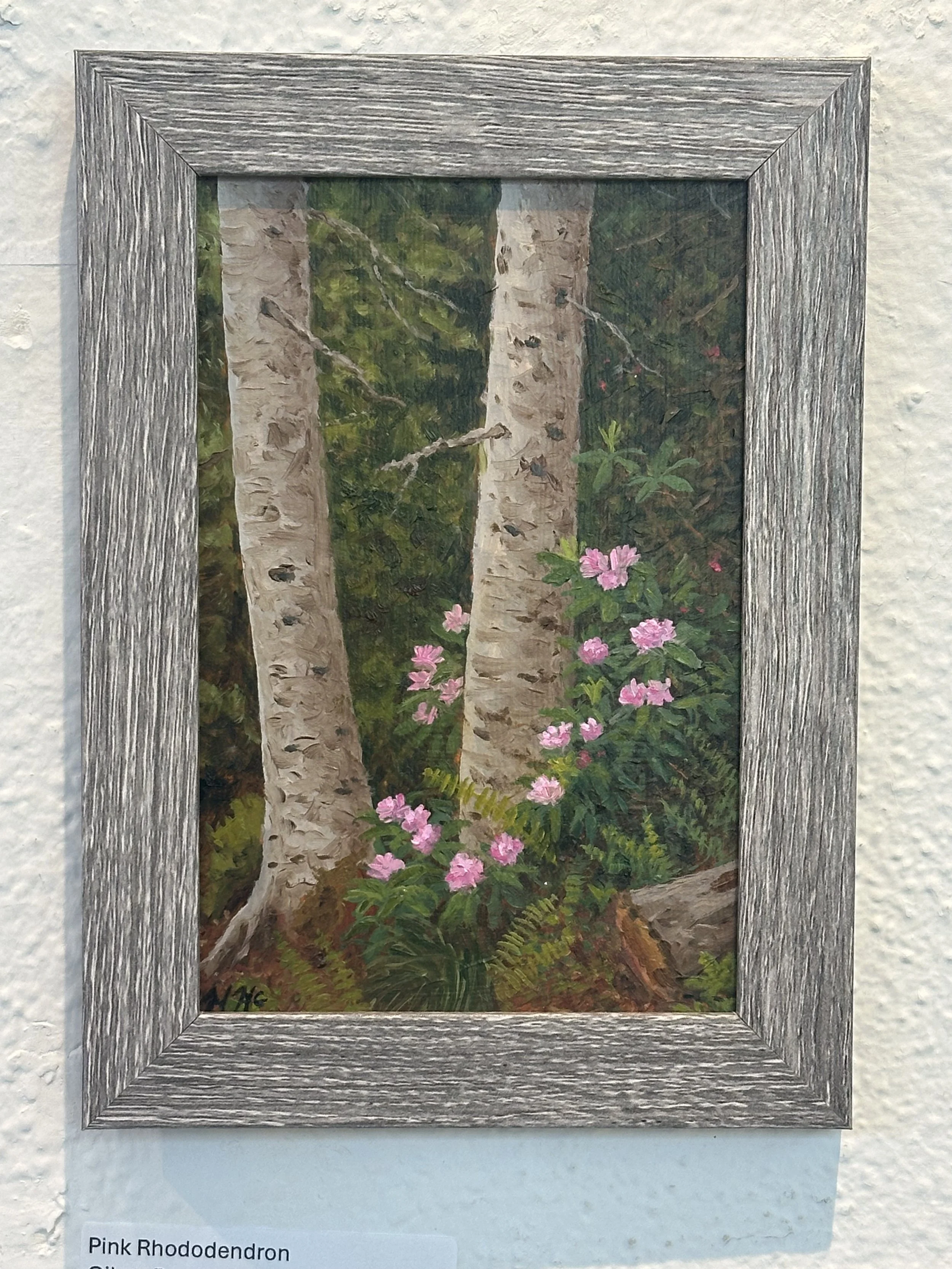 Mel McRobert - Pink Rhododendron - Oil - $150