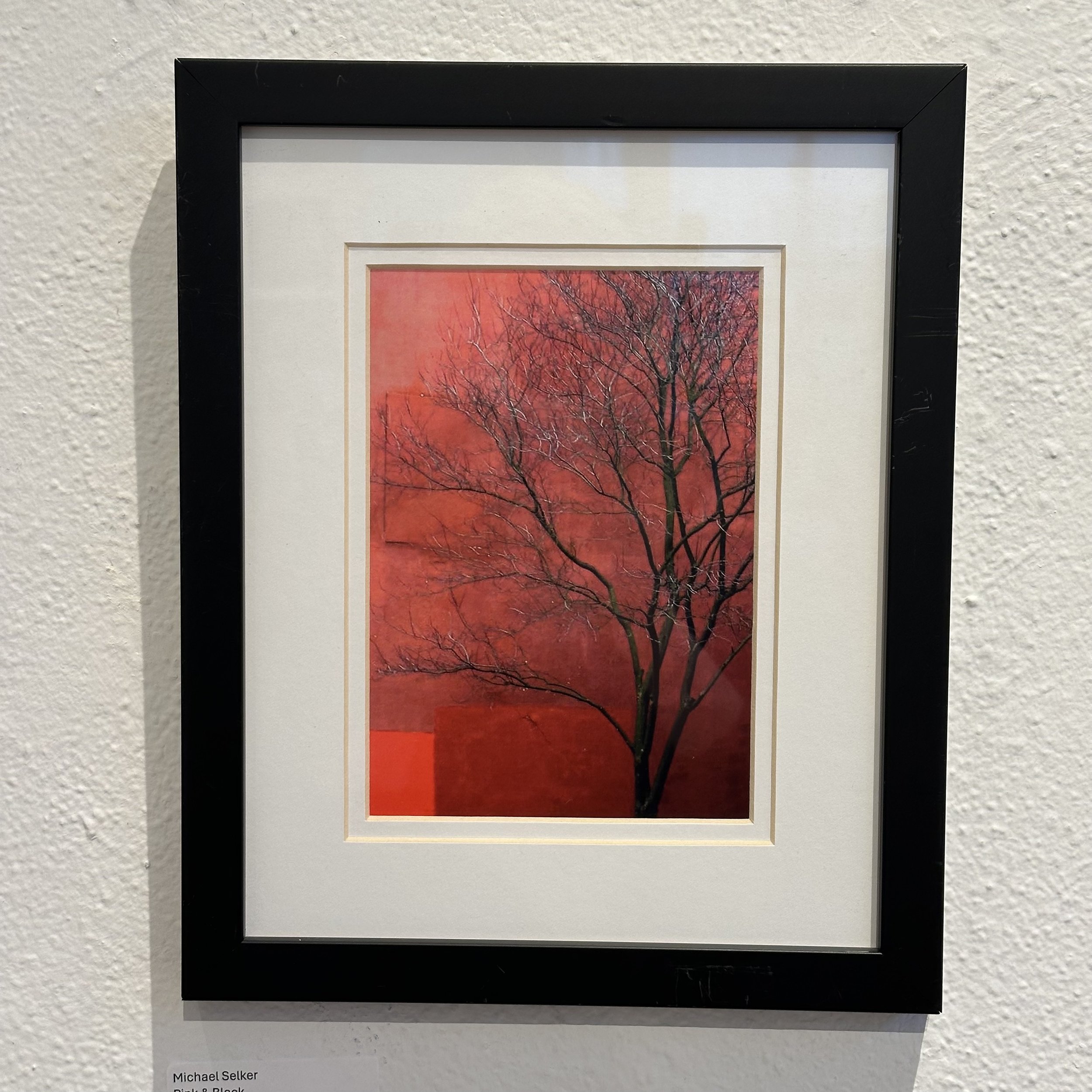 Michael Selker - Photograph - Pink & Black - $85