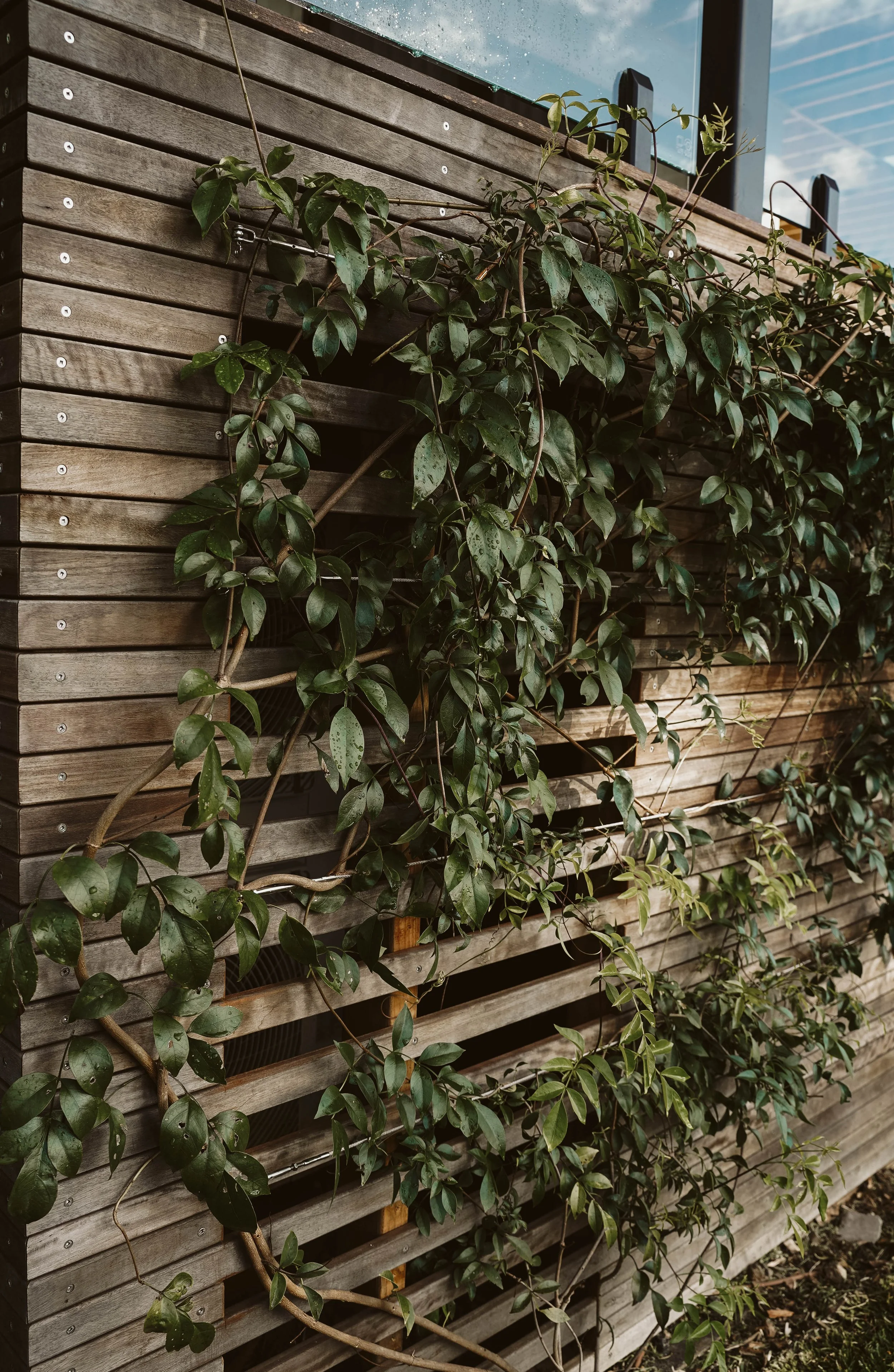 Photo 13-6-2025, 9 19 30 pm.jpg