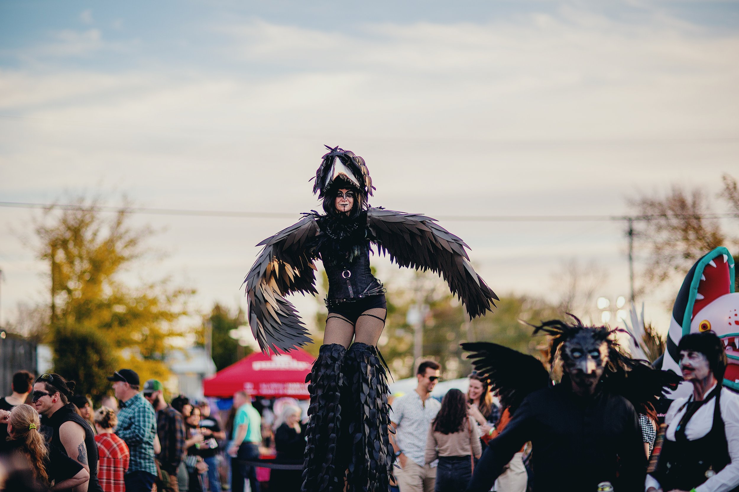 Gallery — Festival of Darkness