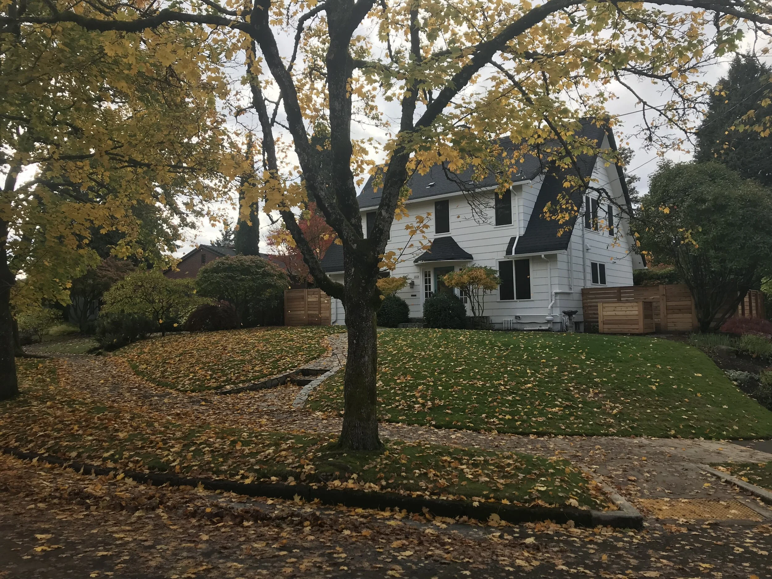 Portland Service Opportunities this Winter