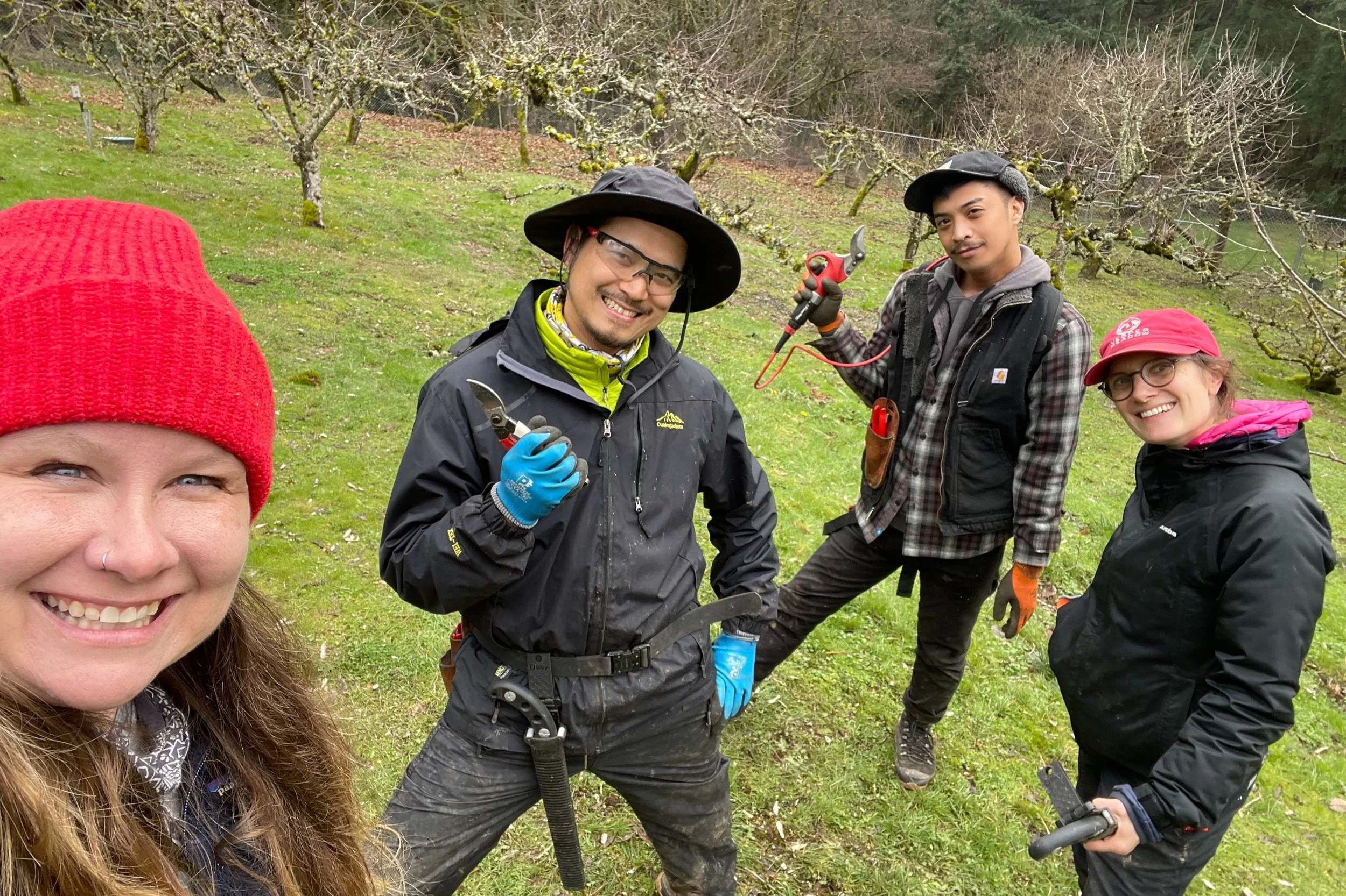 Launching - Volunteer Tree Care Team!