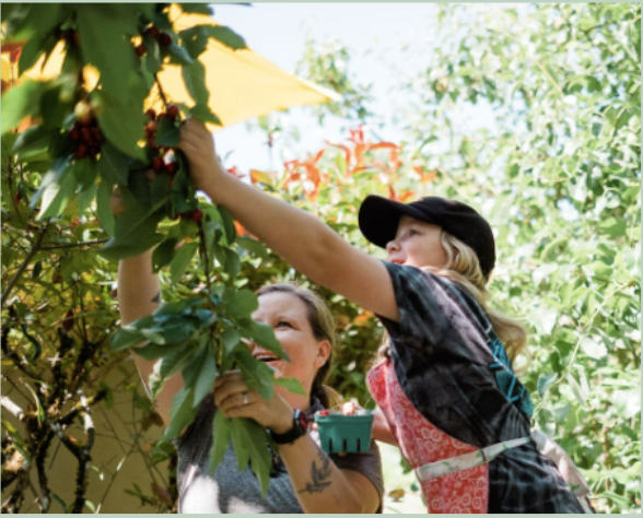 We are hosting a FREE Spring Break Camp for the Parkrose neighborhood!