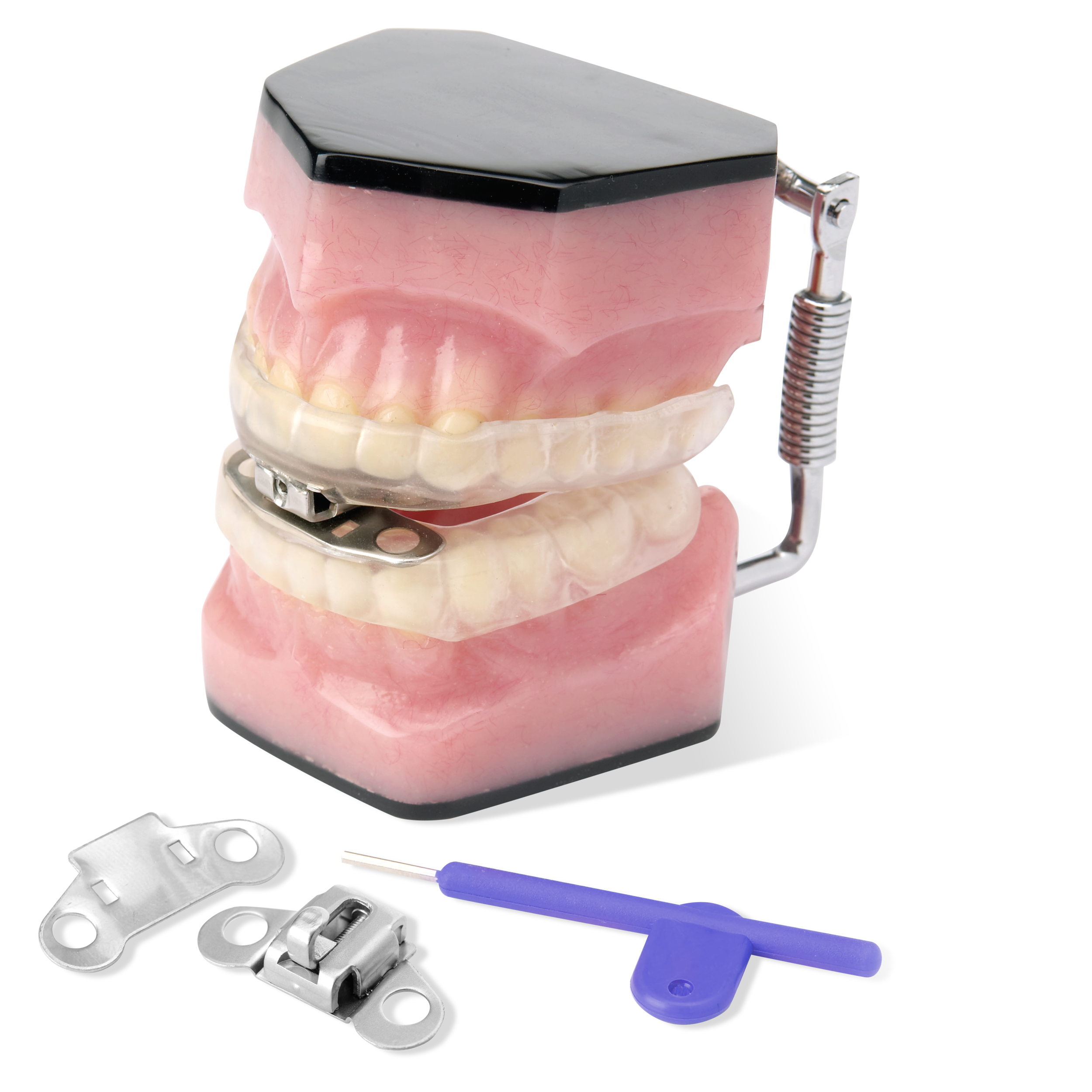 Model of the product