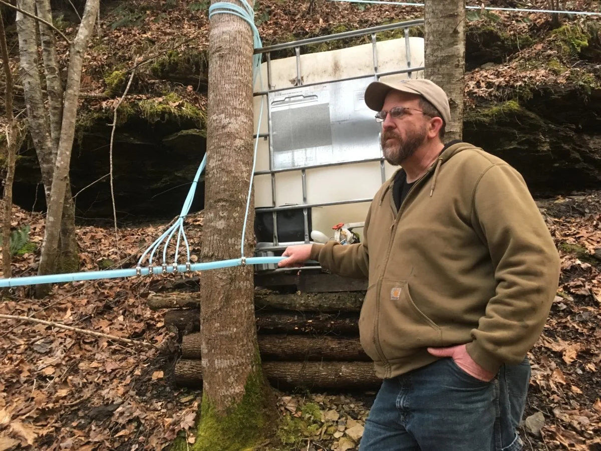 Sweet Equity: Ohio Valley Farmers Tapping Into Tradition