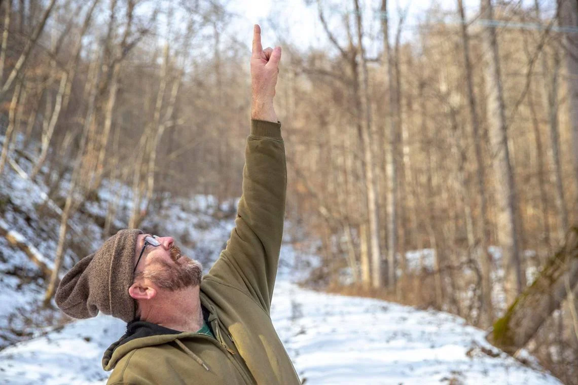 ‘Tapping into Ky’s untapped resource.’ Lots of maple trees means lots of maple syrup.