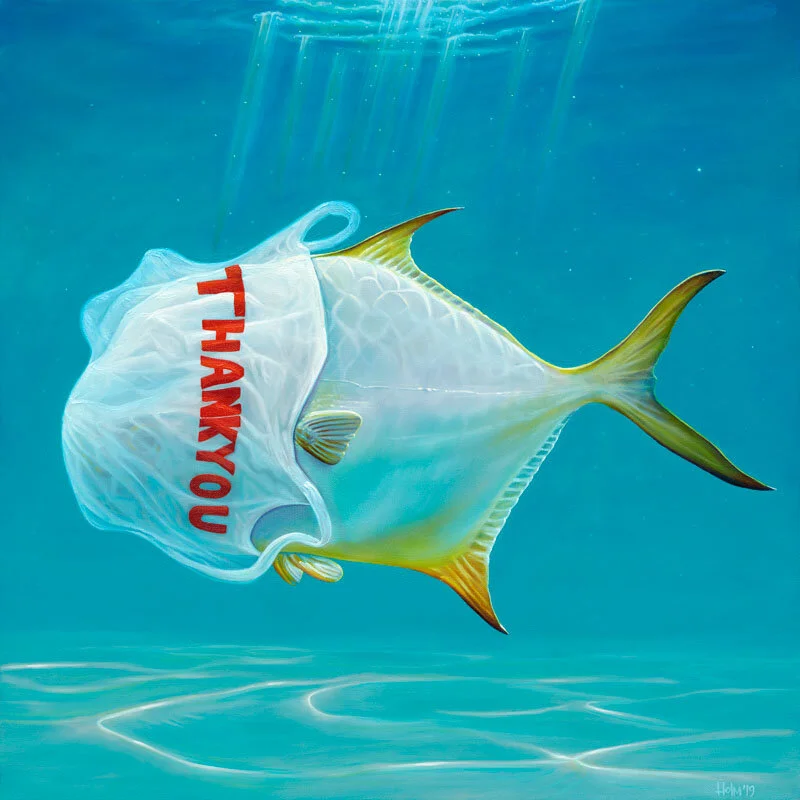 Plastic PermitSmall.jpg