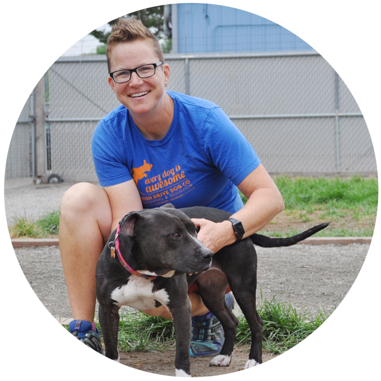 carly-shivers-high-drive-dog-trainer-768x768.png