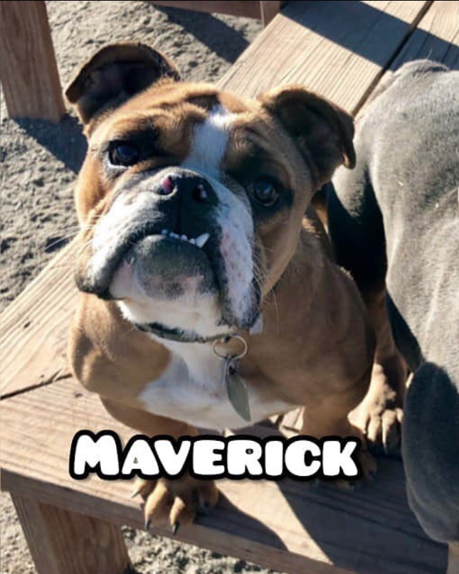 Screen Shot 2020-02-19 at 7.07.26 PM.png