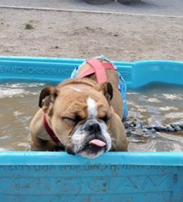 Screen Shot 2020-02-19 at 7.07.56 PM.png