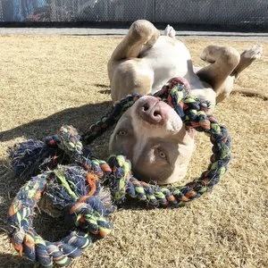 Just One Class - $33