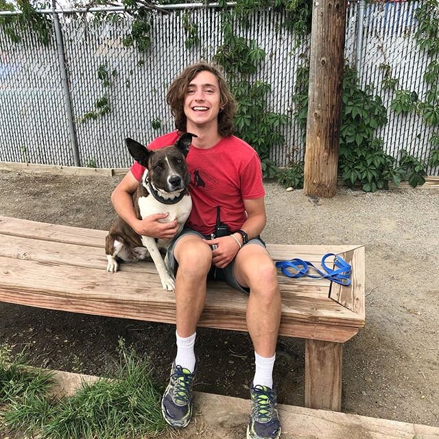 Our High Drive team member Ders will be leaving us at the end of July to move back home to North Carolina and on to his next adventure of vet school. We are so happy to announce that he has adopted our sweet Roohie, and they will go on this next adve