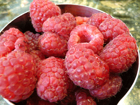 rasp.png