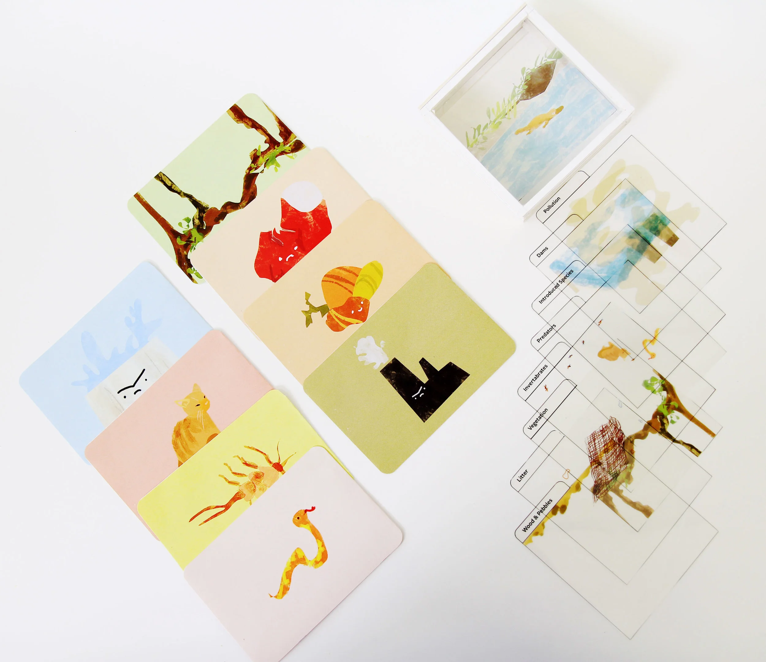  I designed a projector box as part of a series of small, portable classroom resources for upper primary school students to learn more about systems thinking and environmental sustainability.    