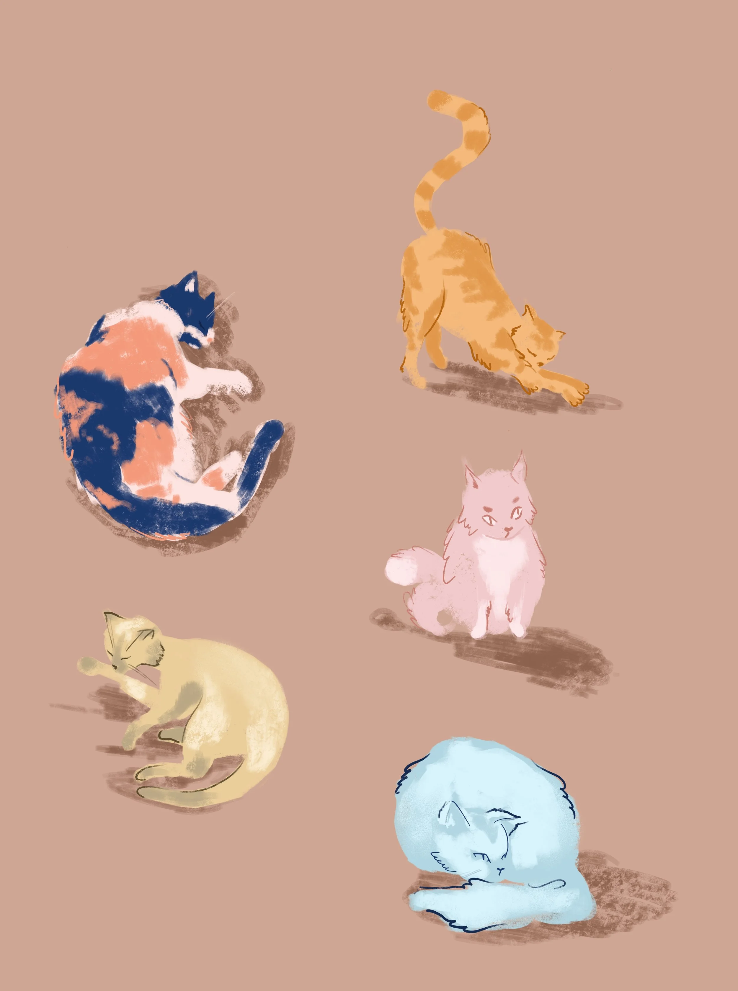 Untitled_Artwork.jpg