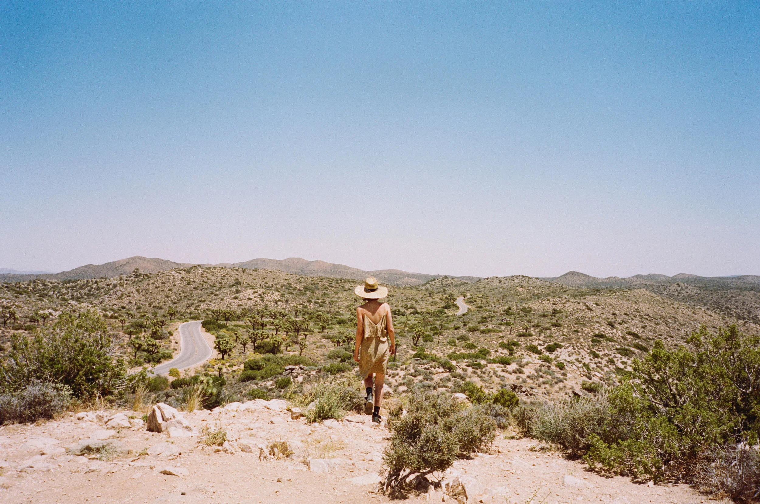 joshua-0015_14.jpg