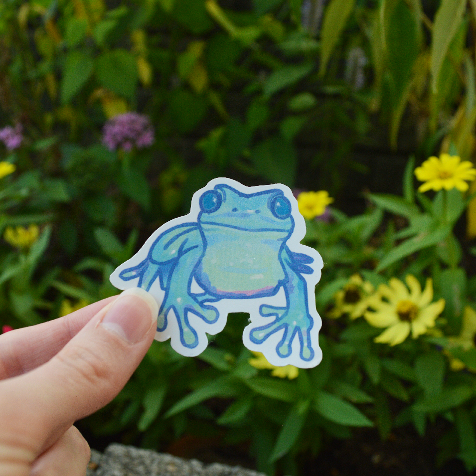 Frog Stickers — Tori Hirsh